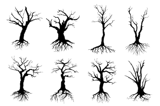 Vector dead trees with naked branches and long roots