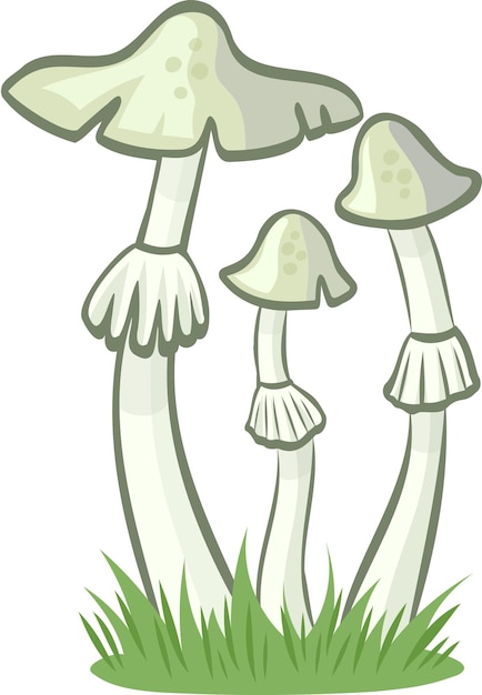 Death Cap vector image without background