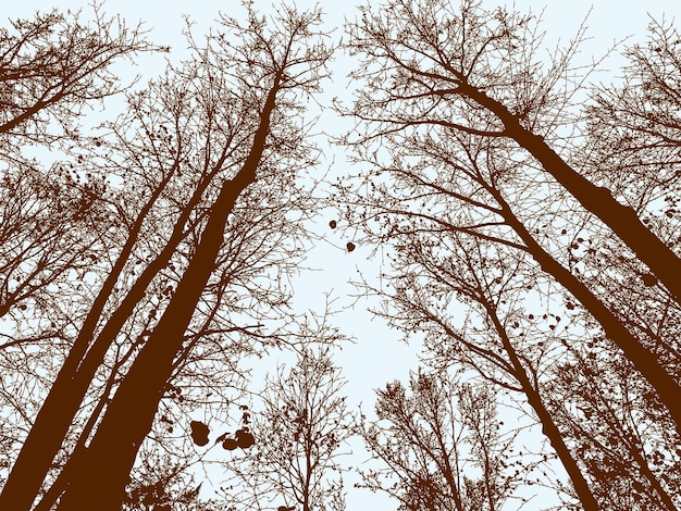 Vector deciduous trees in the fall forest