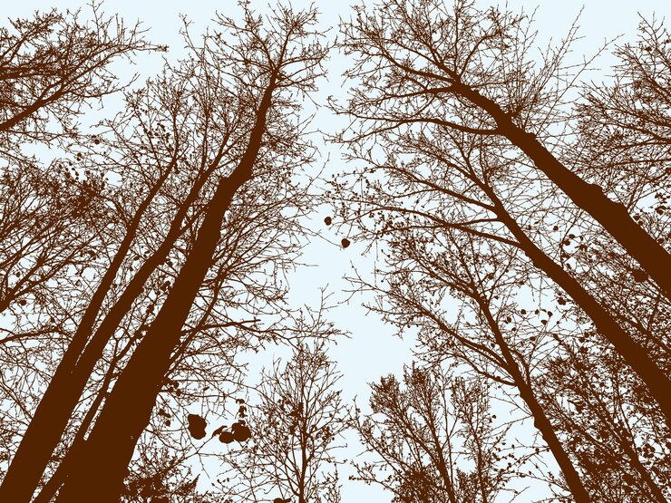 Vector deciduous trees in the fall forest