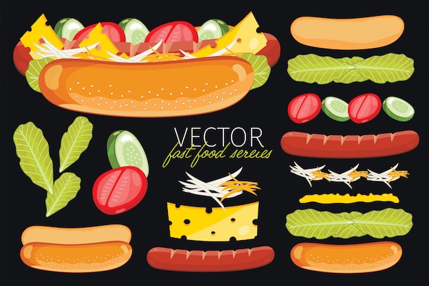 Vector deconstructed hot dog ingredients set