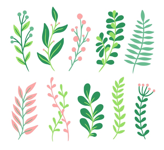장식 잎 녹색과 분홍색 식물 요소 유기 정원 단풍 식물 아름다운 가지 흰색으로 격리