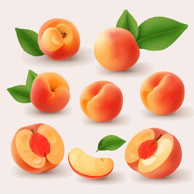 これらのエレガントな桃のベクター イラストでウェブサイトを飾りましょう