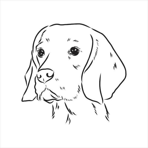 Decoratief portret van staande in profiel beagle vector geïsoleerde illustratie in zwarte kleur