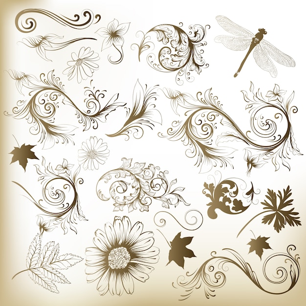 Vector decoratieve bladeren en bloemen