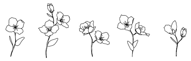 Vector decoratieve elementen doodle set takken eenvoudige bloemen met de hand getekende vector illustratie geïsoleerd op