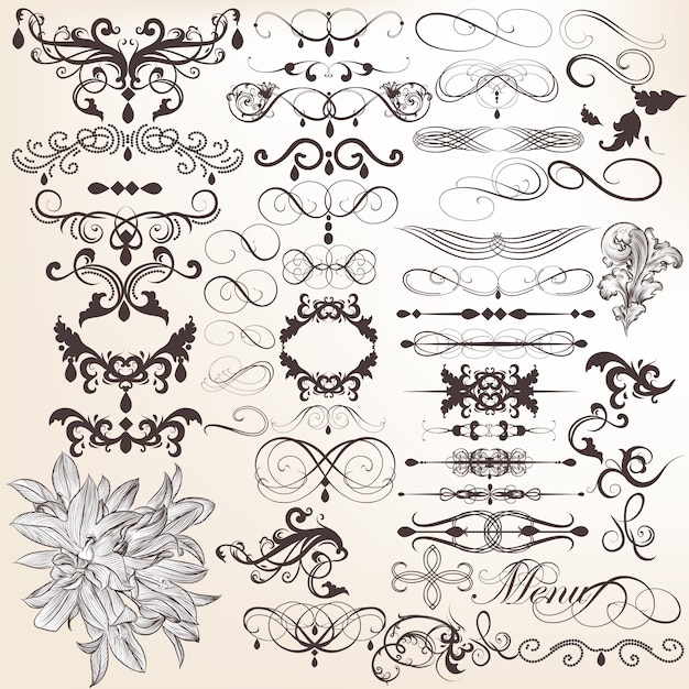 Vector decoratieve ornamenten collectie