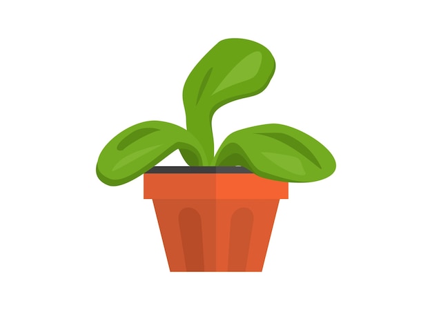 Vector decoratieve plant op pot eenvoudige platte illustratie