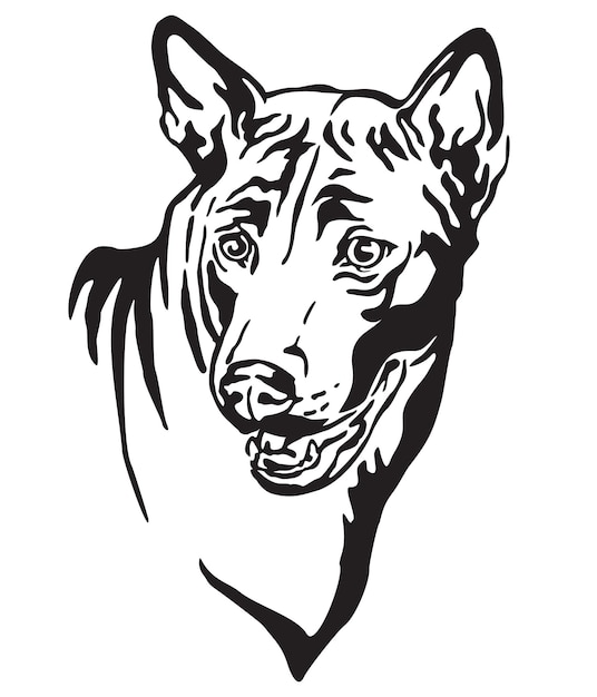 Decoratieve schets portret van hond Thai Ridgeback op zoek in profiel vectorillustratie