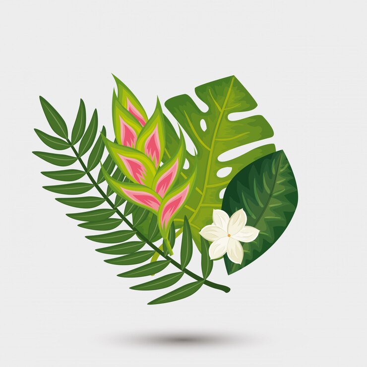 वेक्टर decoration of flowers with leafs tropicals nature