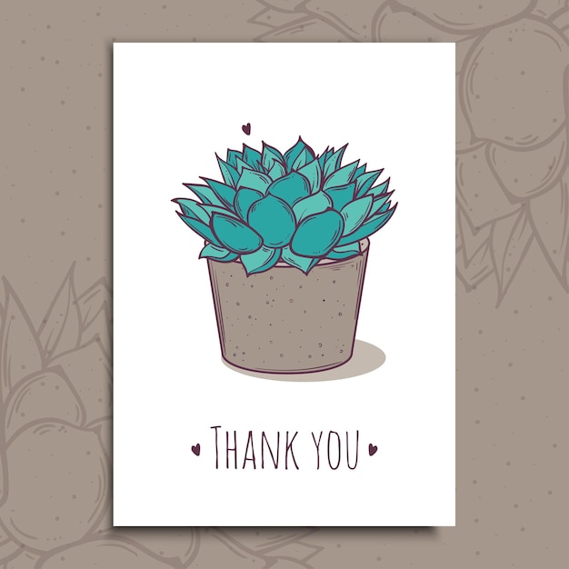 Decoration plant succulent polyphilla. greeting post card thank you text.  illustration. cactus aloe