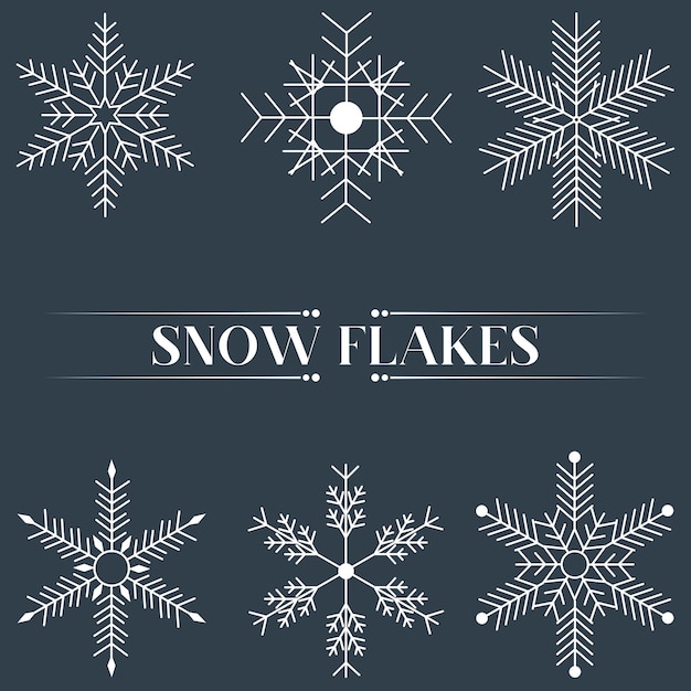 Decoration snow flake vectors and illustration