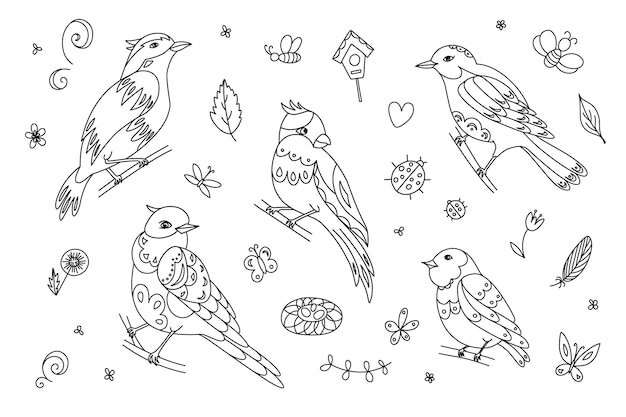 Vector decorative birds for coloring