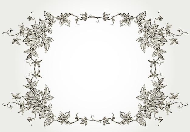 Vector decorative border from sketches vintage vine brances with leaves and tendrils