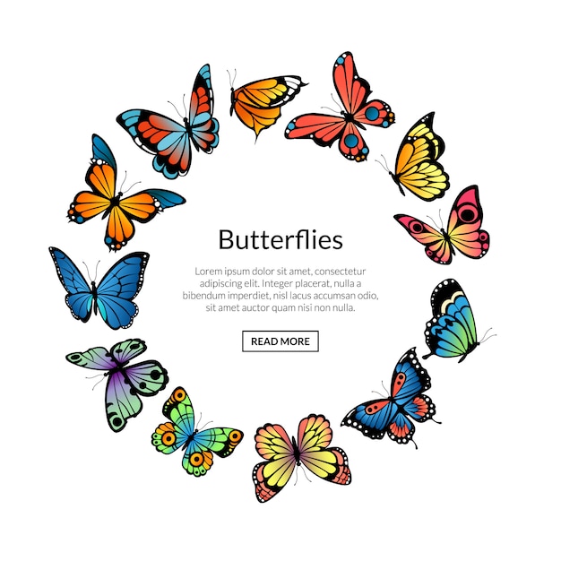 декоративные бабочки в форме круга с местом для иллюстрации текста