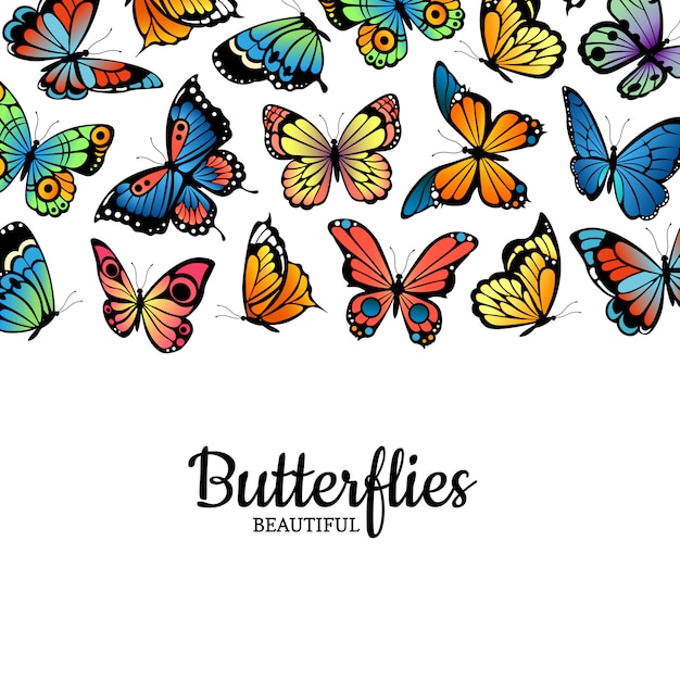 decorative butterflies colored insects illustration