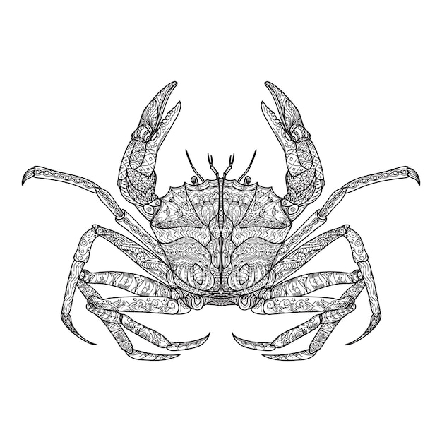 Vector decorative crab coloring page and coloring book for adult and kids design
