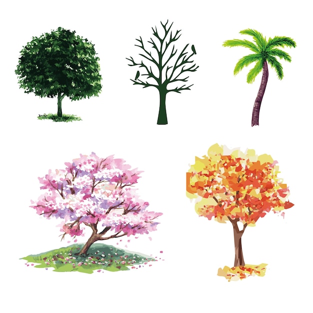 Fogliame decorativo deciduo e alberi del parco forestale di conifere silhouette design astratto icone set sket