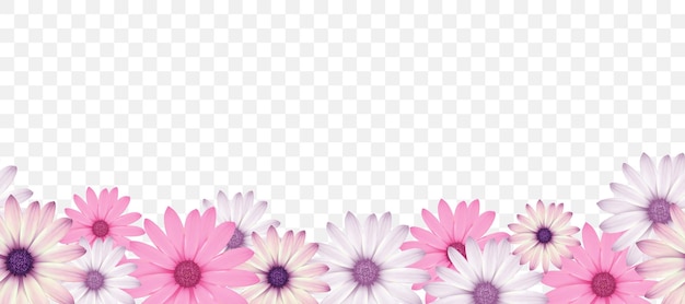 Vector decorative design element with pink spring summer flowers border on transparent background