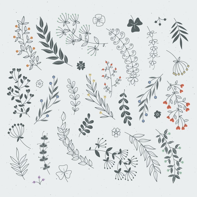 Decorative floral elements for design projects