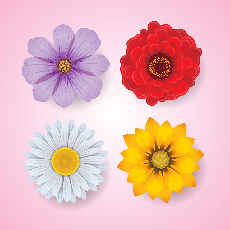 decorative flower spring illustration