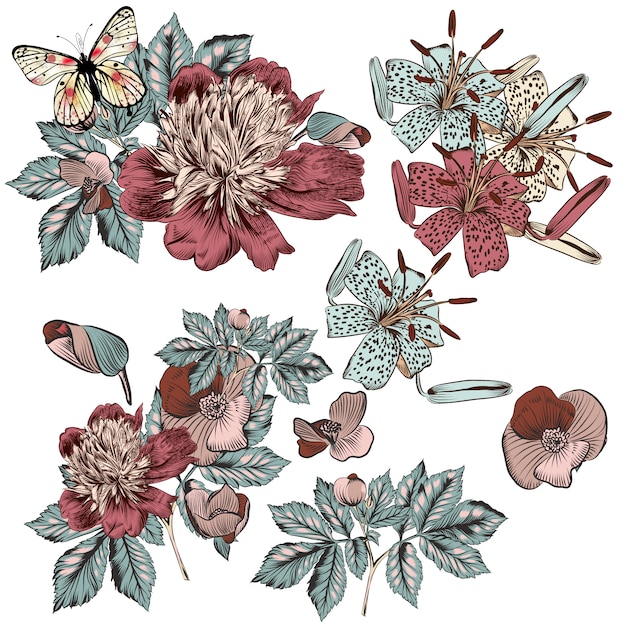 Vector decorative flowers collection