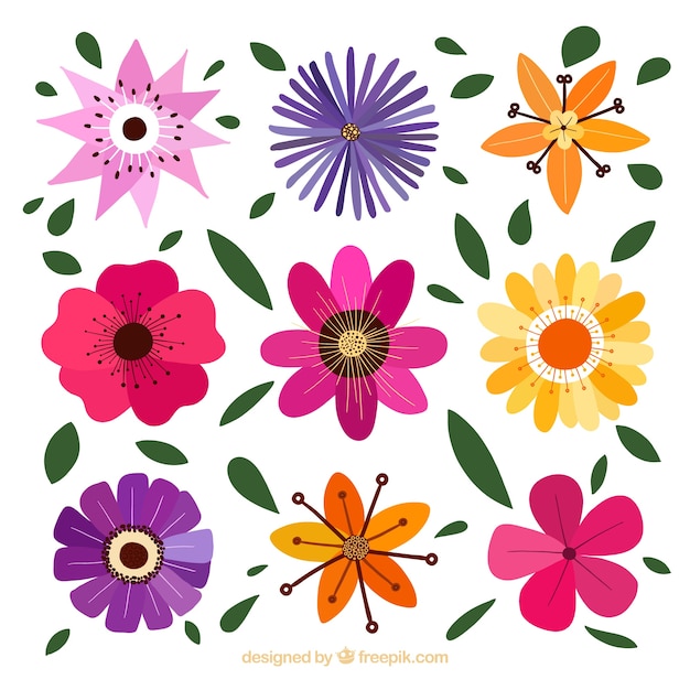 Fiori decorativi con disegni diversi