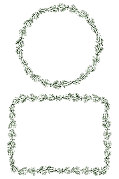 Vettore cornici decorative da rami di quercia trafilati