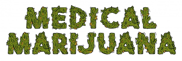 Vettore carattere di marijuana verde decorativo con disegno di iscrizione isolato.