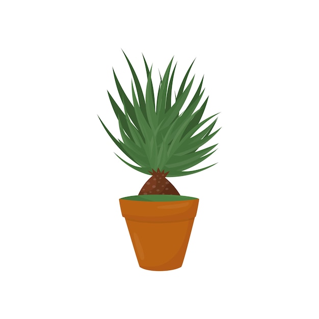 Decorative home plant with green leaves Nature element for home interior Flat vector icon of houseplant in brown pot Indoor gardening