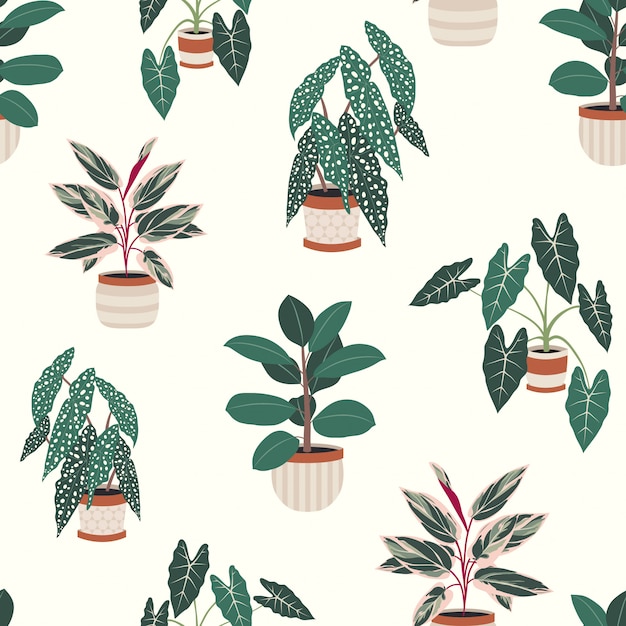 Decorative house plants in pots seamless pattern