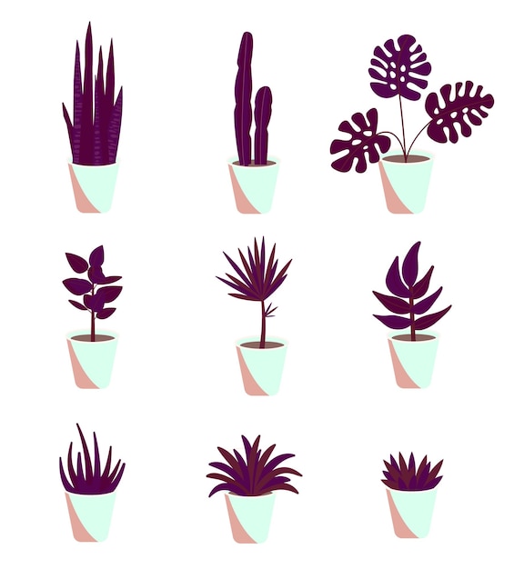 Decorative houseplants. Plants and nature homemade flowers in pot interior decoration in flat cartoon style. Vector illustration eps