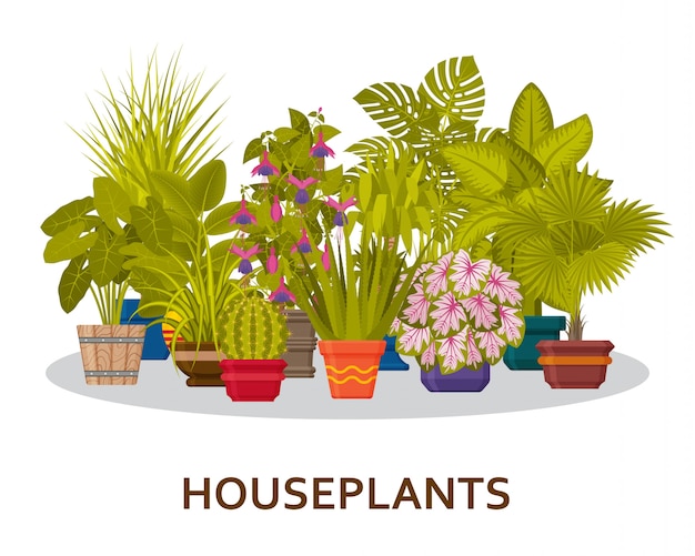 Decorative houseplants in pots background. florist indoor palm trees and interior flowerpots. illustration