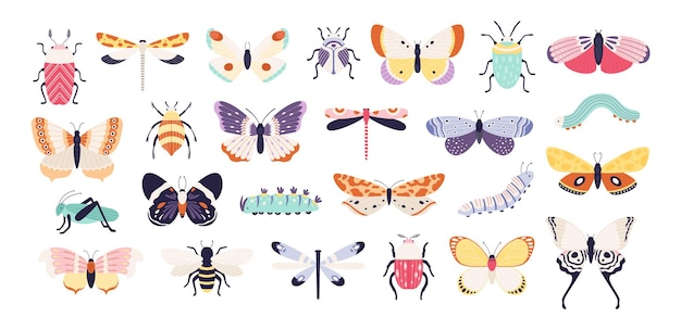 装飾的な昆虫。カブトムシ、蝶、トンボ、ミツバチ、イモムシ、バッタを落書きします。春のバグとワーム、フラットベクトルセット。バッタとトンボ、翼のある蝶のイラスト