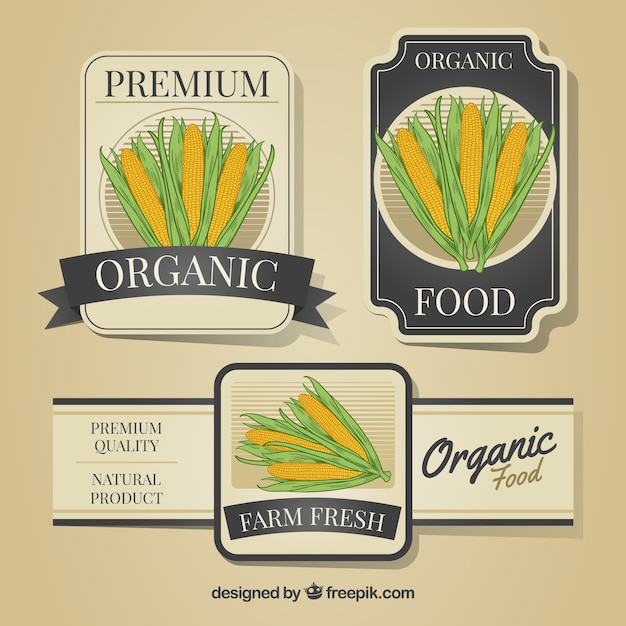 Vector decorative labels with corncobs