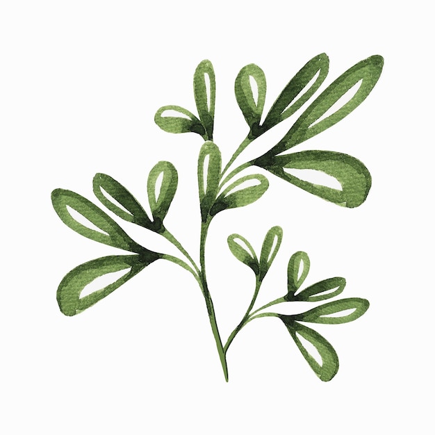 decorative leaves and branches watercolor