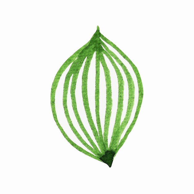 decorative leaves and branches watercolor