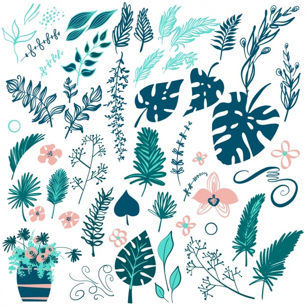 Vector decorative leaves collection