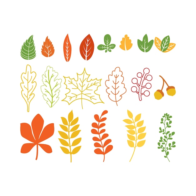 Vector decorative leaves in flat style