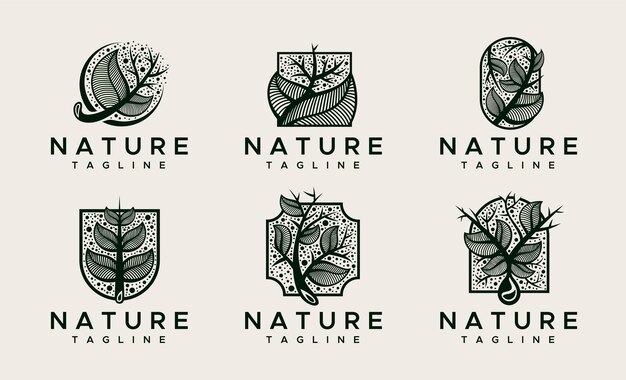 Decorative nature leaf logo design template set