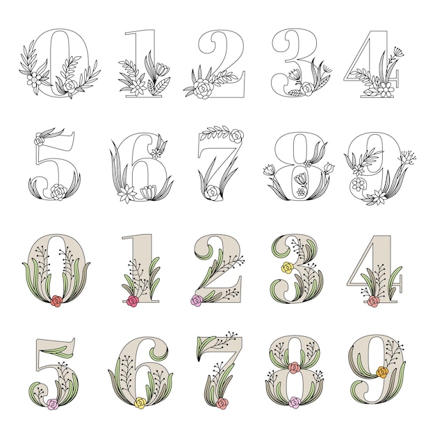 Numeri decorativi alfabeto floreale fiori botanici simboli stilizzati per scrivere la raccolta di numeri vettoriali recenti