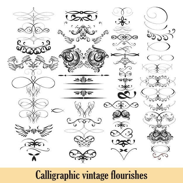 Vector decorative ornaments collection