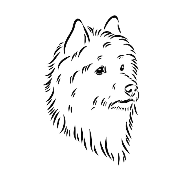 Vector decorative outline portrait of dog australian terrier vector