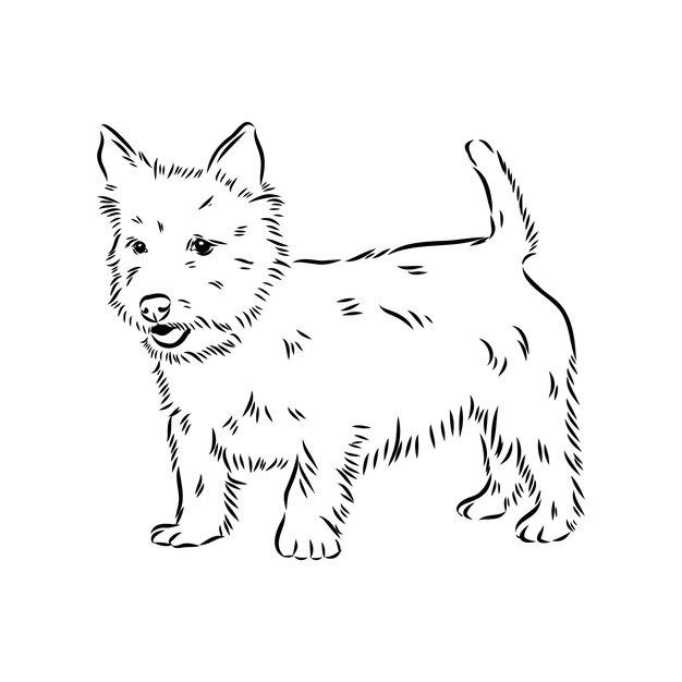 Decorative outline portrait of dog australian terrier vector