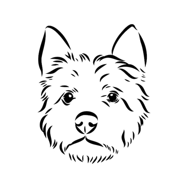 Decorative outline portrait of dog australian terrier vector