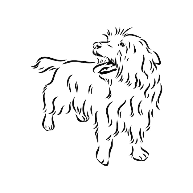 ベクトル オーストラリアン テリア犬ベクトルの装飾的な輪郭の肖像画