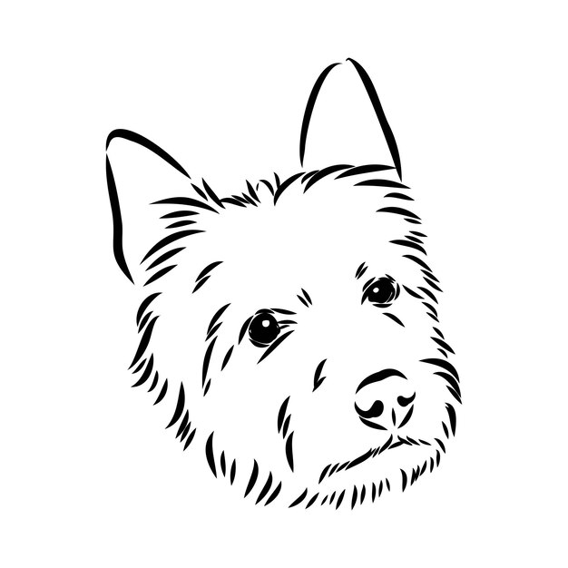 ベクトル オーストラリアン テリア犬ベクトルの装飾的な輪郭の肖像画