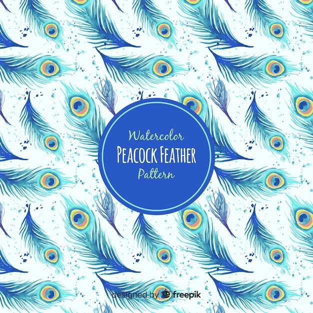 Decorative peacock feather pattern