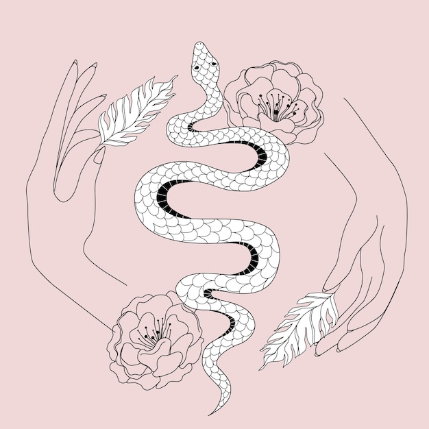 Vector decorative snake stylized freehand style flowers leaves and hands decorative elements