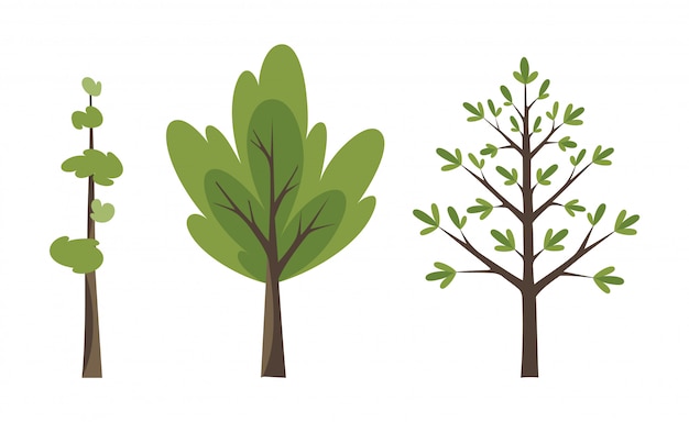 Vector decorative trees icon set